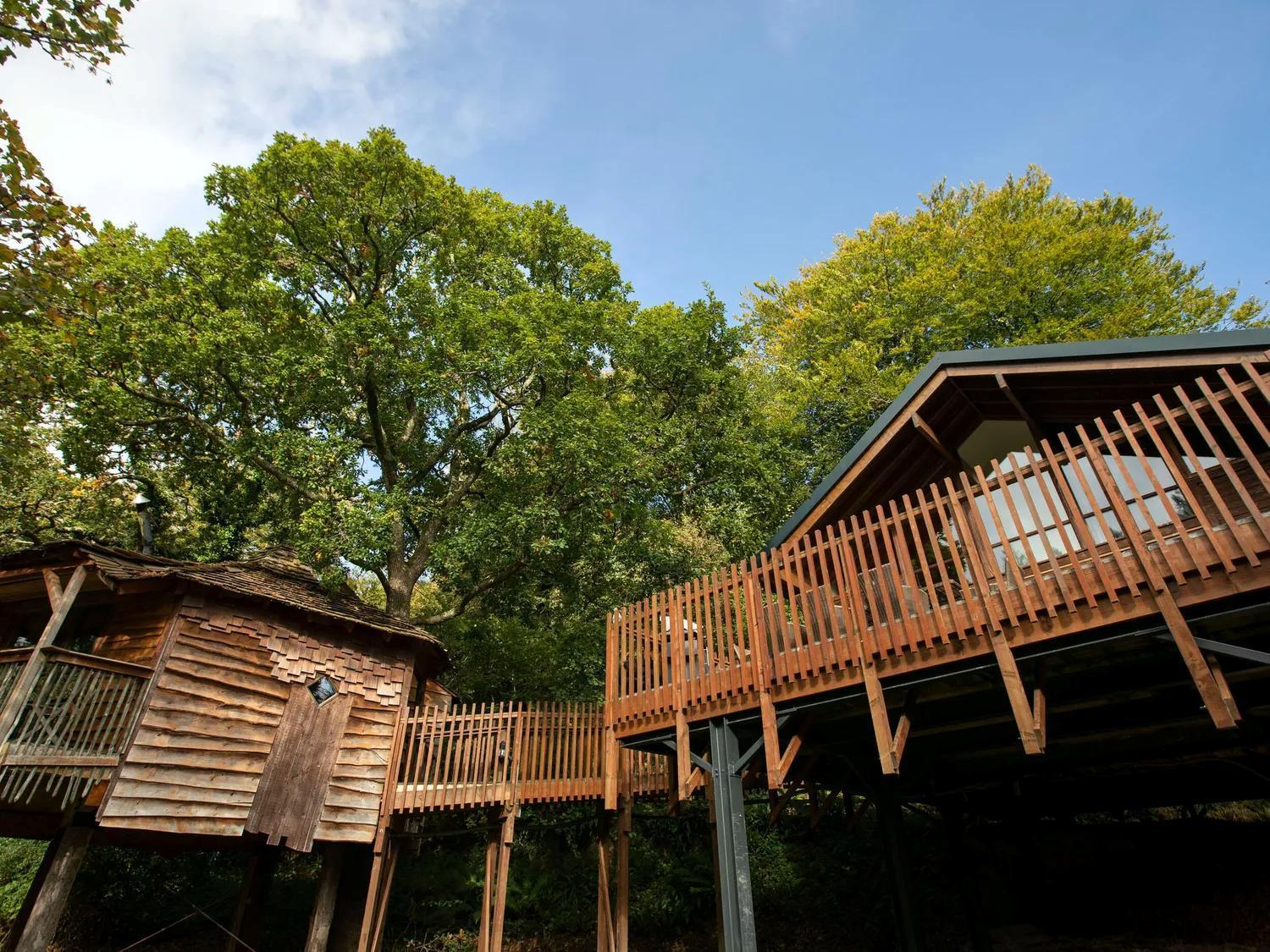 Deerpark Cabins, Cornwall - Forest Holidays Liskeard Extérieur photo